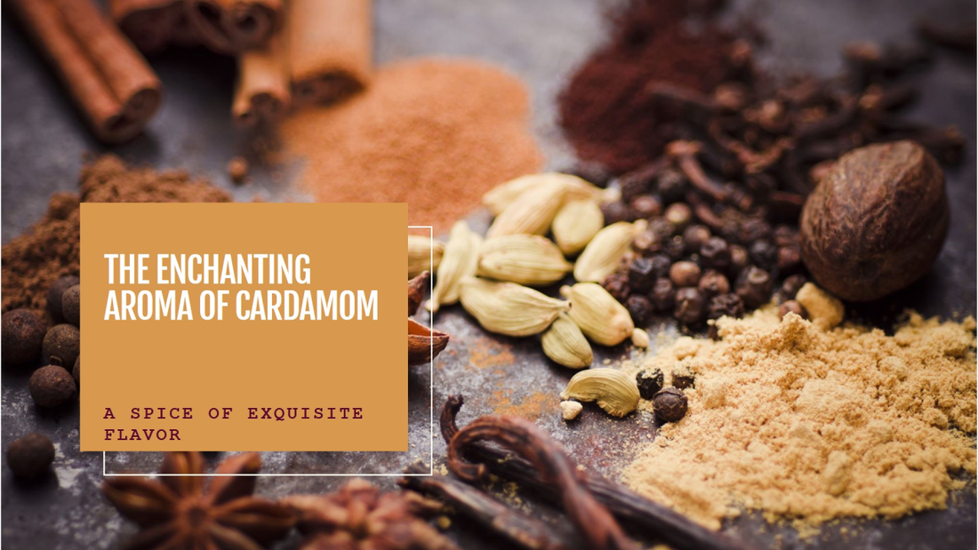 The Enchanting Aroma of Cardamom: A Spice of Exquisite Flavor