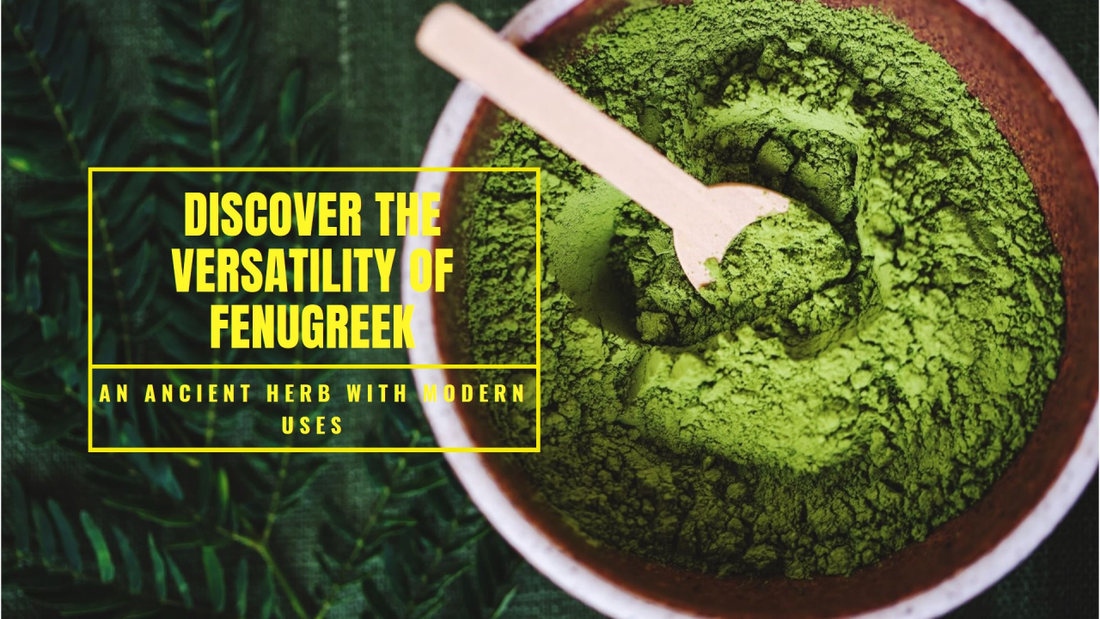 The Allure of Fenugreek: A Versatile Herb with Ancient Roots
