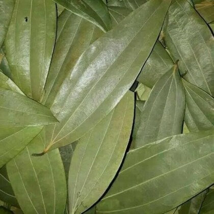 Tejpatta: The Unsung Hero of Indian Flavor