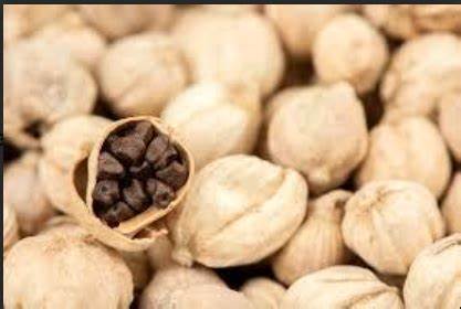 White Cardamom: The Delicate Nuances of a Treasured Spice
