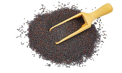 Schwarzes Senfpulver
