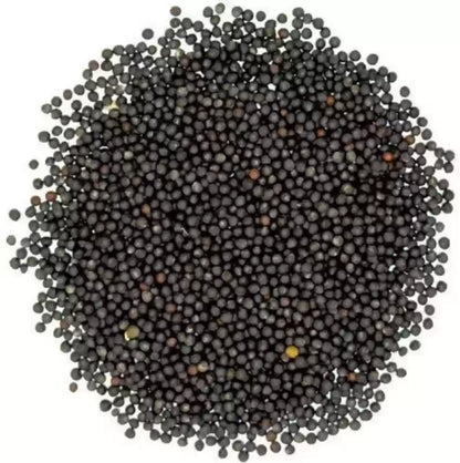 Schwarzes Senfpulver